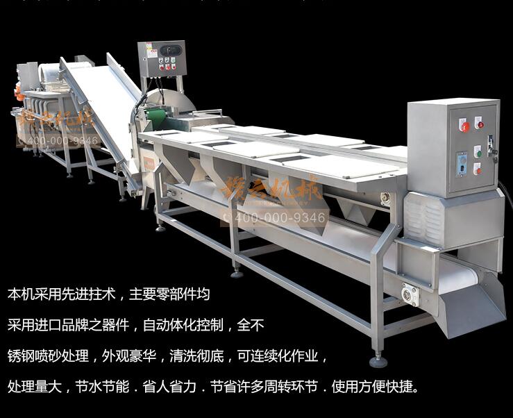 普及一下净菜加工设备的工艺流程
